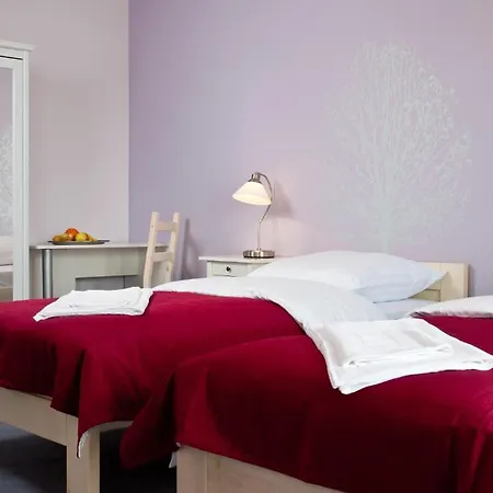 ベッド・アンド・ブレックファスト Cilantro 3*