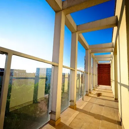 Cilantro ヴロツワフ